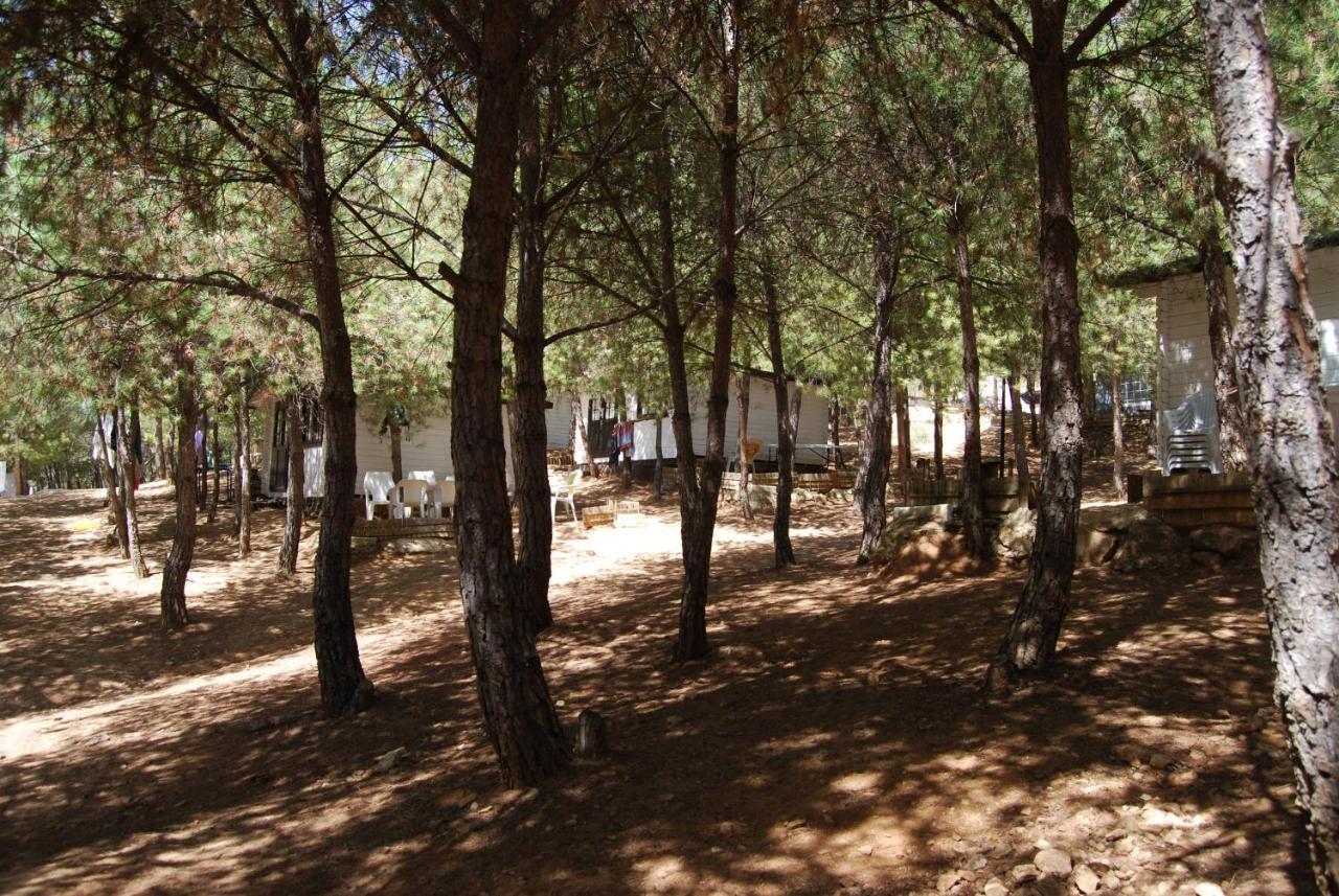 Camping Valdearenas อิซนาฮาร์ ภายนอก รูปภาพ